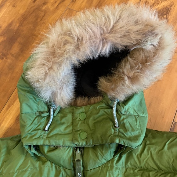 Puff the magic dragon 🐉 - Picture 3 of 8